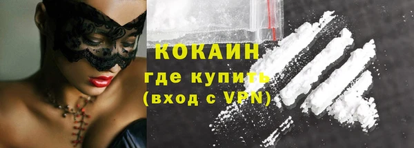 стаф Горняк