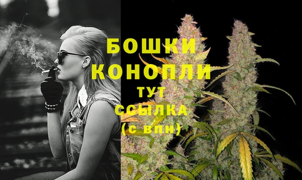 spice Гусь-Хрустальный