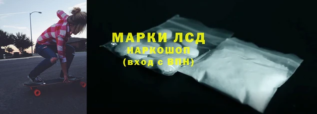 марки nbome Гусев